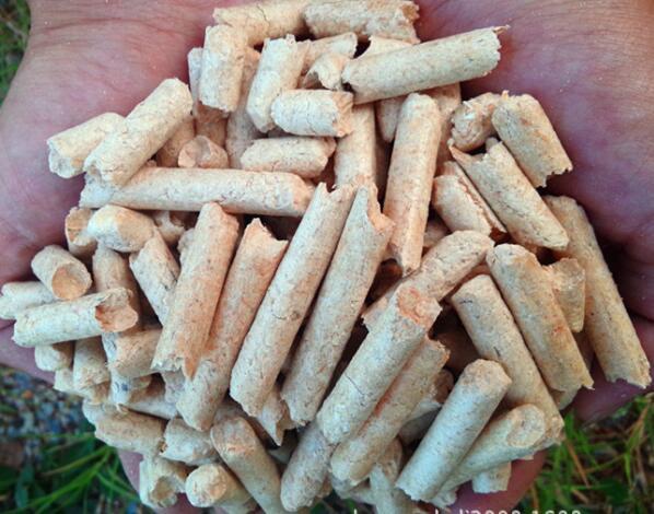 生物质燃料午夜福利WWW在线观看械