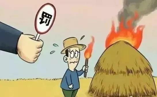 生物质午夜福利WWW在线观看械