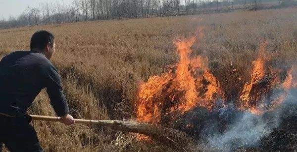 生物质午夜福利WWW在线观看械