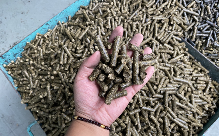 生物质午夜福利WWW在线观看加工的颗粒燃料
