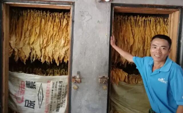 生物质午夜福利WWW在线观看颗粒燃料烤烟