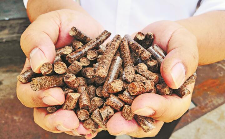 推广生物质燃料利用，农林业废弃物变成“宝贝疙瘩”