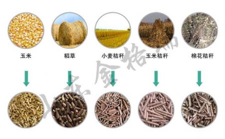 解析午夜福利WWW在线观看设备生物质颗粒燃料的4大误区