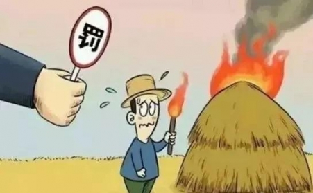 秸秆禁烧怎么办？秸秆午夜福利WWW在线观看帮您变废为宝！
