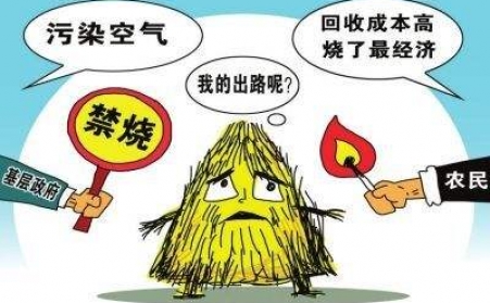黑龙江秸秆午夜福利WWW在线观看把秸秆从包袱变回宝贝！