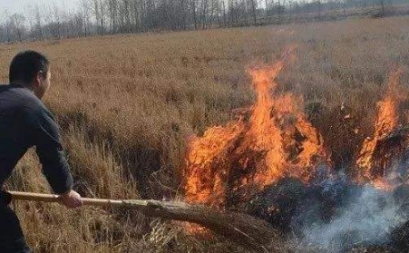 生物质午夜福利WWW在线观看解决了农村大难题！