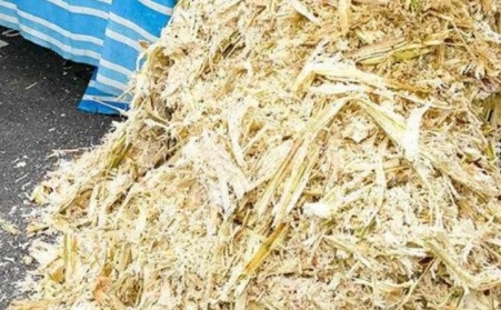 甘蔗渣想废物利用？可以考虑生物质午夜福利WWW在线观看！