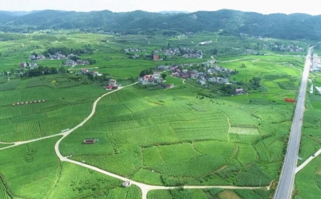 福泉：生物质颗粒智能化烘烤 助力烤烟产业提质增效