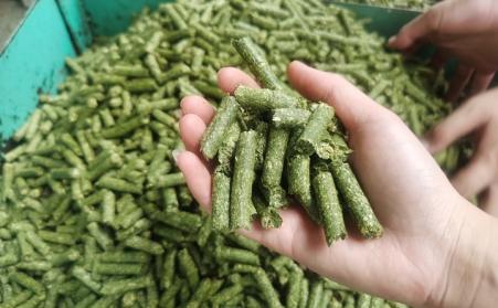 河南支持生物质能等可再生能源替代，助力实现碳达峰碳中和目标