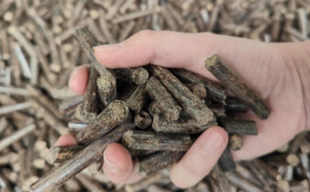 提高生物质午夜福利WWW在线观看产量小妙招及颗粒用途