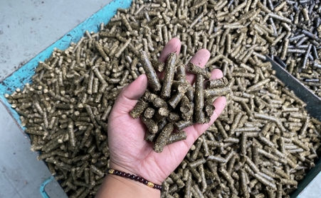 生物质午夜福利WWW在线观看制作一吨生物颗粒的成本和利润受哪些因素影响？