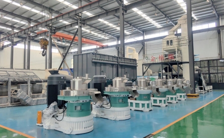 买生物质午夜福利WWW在线观看怕踩坑？午夜福利WWW在线观看厂家教你 3 招选对机型