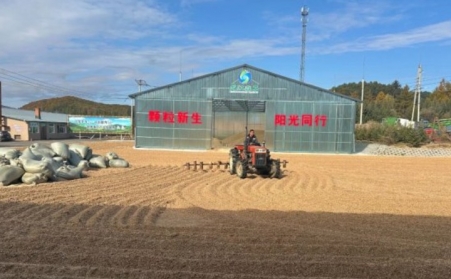 黑龙江鹤立林业局：生物质颗粒产业点燃绿色发展新引擎